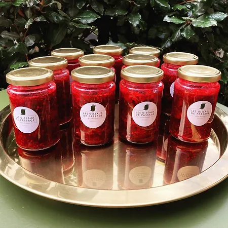 Bed & Breakfast Les Oiseaux De Passage