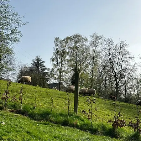 Bed & Breakfast Les Oiseaux De Passage