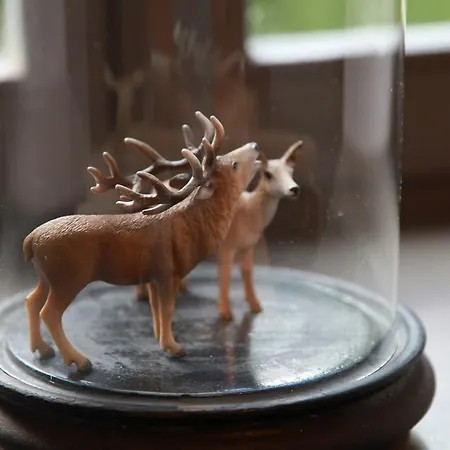 Bed & Breakfast Les Oiseaux De Passage