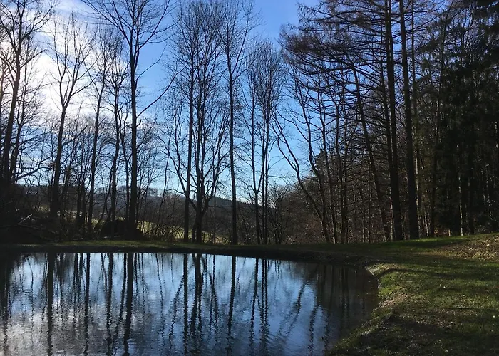 Restaurant - Les Oiseaux De Passage 3* Harre