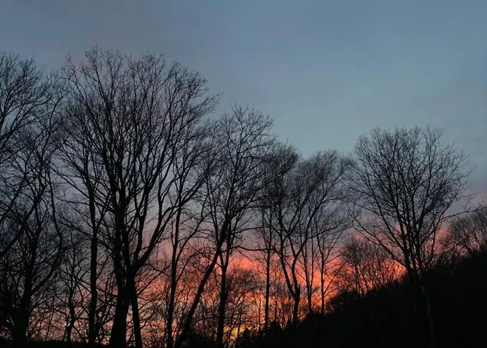 Otel Restaurant - Les Oiseaux De Passage