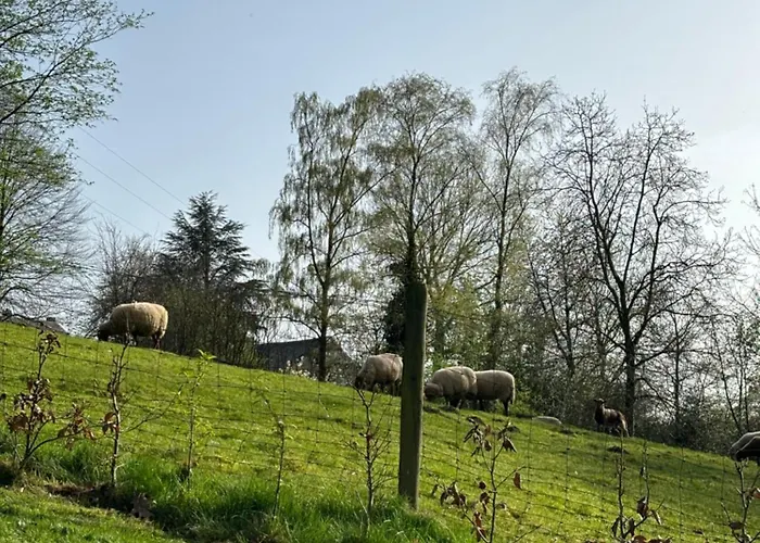 Otel Restaurant - Les Oiseaux De Passage
