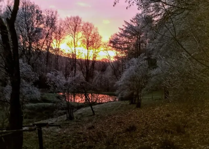 Restaurant - Les Oiseaux De Passage Otel Harre