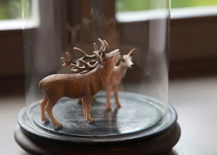 Otel Restaurant - Les Oiseaux De Passage