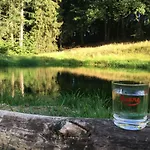 Restaurant - Les Oiseaux De Passage