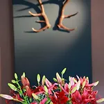 Otel Restaurant - Les Oiseaux De Passage Harre