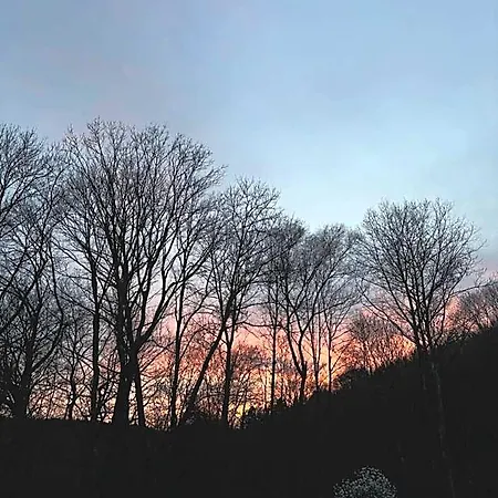 Les Oiseaux De Passage